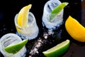 Ice glasses with lemon and lime slices and salt tequila tasting party concept