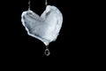 Ice heart on collar Royalty Free Stock Photo