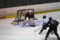 Ice Hockey Action