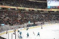 Ice hockey action with cheering crowd Royalty Free Stock Photo