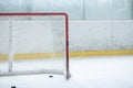 Ice hockey empty net