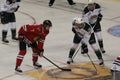 Ice Hockey Faceoff Pfeifer and Iverson Royalty Free Stock Photo