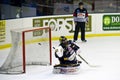 Ice Hockey Goalie Royalty Free Stock Photo