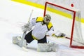 Ice hockey goalie makes a glove save Royalty Free Stock Photo