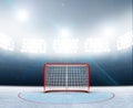 Ice Hockey Goals In Stadium Royalty Free Stock Photo