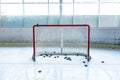 Ice hockey ice rink and empty net Royalty Free Stock Photo