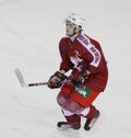 Ice hockey player Royalty Free Stock Photo