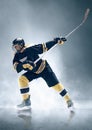 Ice hockey player in action. Royalty Free Stock Photo