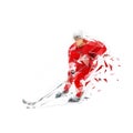 Ice hockey player, low poly isolated vector illustration, hockey logo Royalty Free Stock Photo