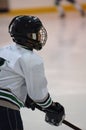 Ice hockey player profile