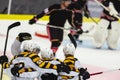 Ice Hockey Players Celebrating