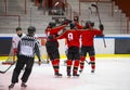 Ice hockey players celebrating