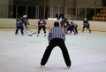 Ice hockey referee Royalty Free Stock Photo