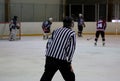 Ice hockey referee Royalty Free Stock Photo