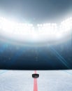 Ice Hockey Rink Stadium Royalty Free Stock Photo