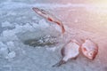 Ice hole fishing. Winter fishing in freezing cold weather concept Royalty Free Stock Photo