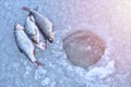 Ice hole fishing. Winter fishing in freezing cold weather concept Royalty Free Stock Photo