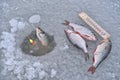 Ice hole fishing. Winter fishing in freezing cold weather concept