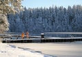 Ice-hole swimming in winter Royalty Free Stock Photo