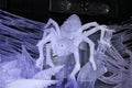 Ice insects arthropods. A huge spider with a cross on its back