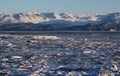 Ice in the Kachemak bay Royalty Free Stock Photo