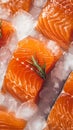 Ice kissed salmon fillets showcased in a tantalizing close up shot