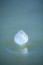 Ice On A Lake In Central Kentucky Royalty Free Stock Photo