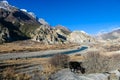 Ice Lake - A heard of yaks grazing in Manang valley Royalty Free Stock Photo