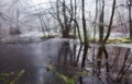 Ice lake with reflection trees Royalty Free Stock Photo