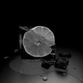 Ice lemon Royalty Free Stock Photo