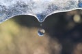 Ice melting: Sphere-shaped water drop Royalty Free Stock Photo