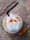 Ice Mocca with whip cream Royalty Free Stock Photo