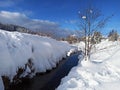 Ice, morning, reflection, snow