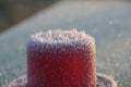 Ice needles on the edge of a alarm light of water pump at ice court in Park Hitland in NIeuwerkerk aan den IJssel in the Netherlan