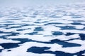 ice at North pole and near (from 84 to 90 degrees