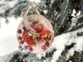 Ice ornament, children's art made of natural material dry rosehip.