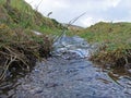 Ice over stream with water running beneath with grass and rushes