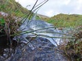 Ice over stream with water running beneath with grass and rushes