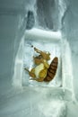 The Ice Palace, Jungfraujoch, Bernese Alps Royalty Free Stock Photo