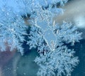 Ice patterns forming on glass Royalty Free Stock Photo