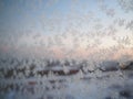 Ice patterns on the window. Beautiful curls and crystals on glass. Outside the window there is a blue winter sky, snow and a city