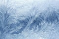 Ice patterns on winter glass Royalty Free Stock Photo