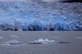 Ice Piece in the Lake of Gray Royalty Free Stock Photo