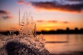 ice piece with tree-shape crystals again sunset Royalty Free Stock Photo