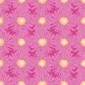 Ice Plant Flower Seamless Pattern Background Royalty Free Stock Photo