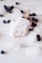 Ice popsicles with yogurt and blueberries. Sweet dairy dessert.