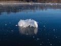 The Ice on a quarry in the village of Michurino. Royalty Free Stock Photo