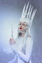 Ice queen Royalty Free Stock Photo