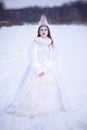Ice queen in winter landscape Royalty Free Stock Photo