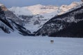 Ice Rink Lake Louise Dogs